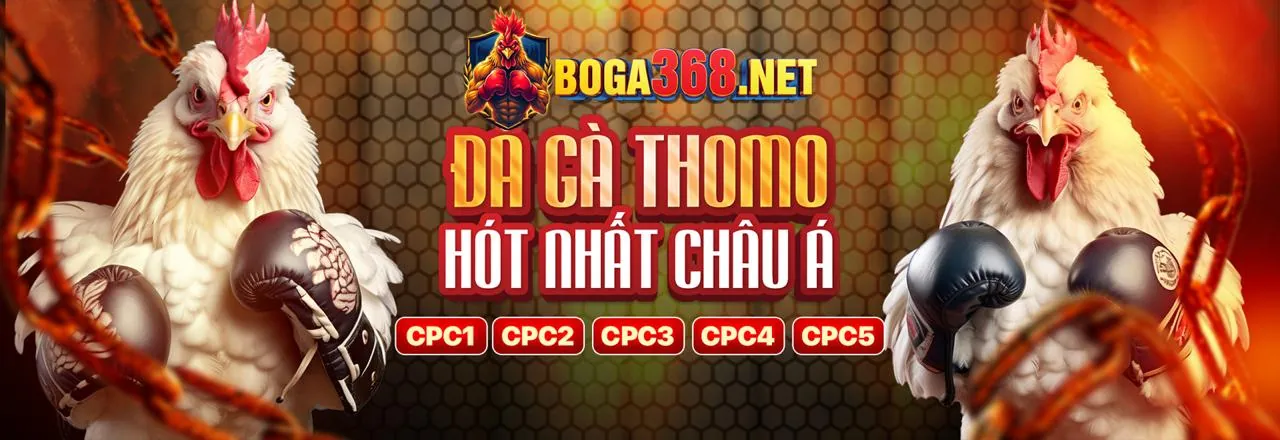 Đá Gà Trực Tuyến BK8 nổ hũ